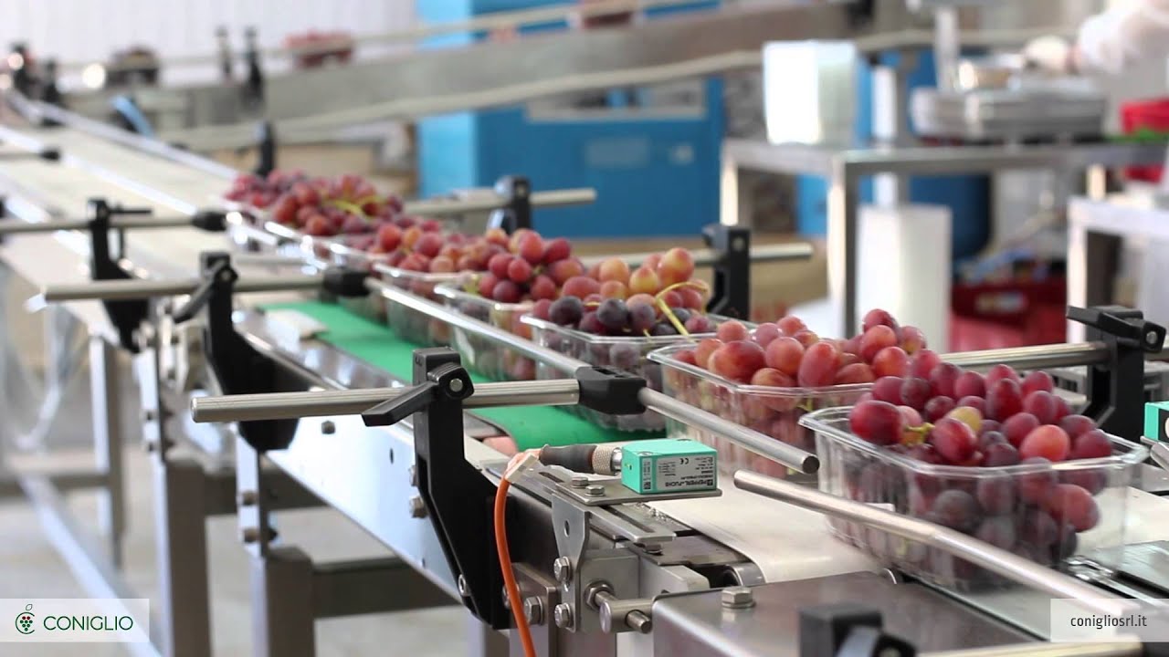 Lavorazione in magazzino - Dott. Nicola Coniglio s.u.r.l.
