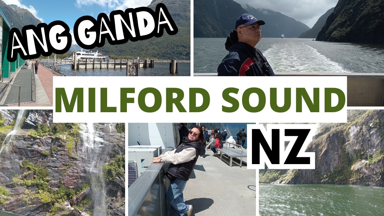 EXCLUSIVE MILFORD SOUND ADVENTURE|ONE OF THE MOST FAMOUS TOURIST SPOTS OF NEW ZEALAND|FEEL THE TRIP