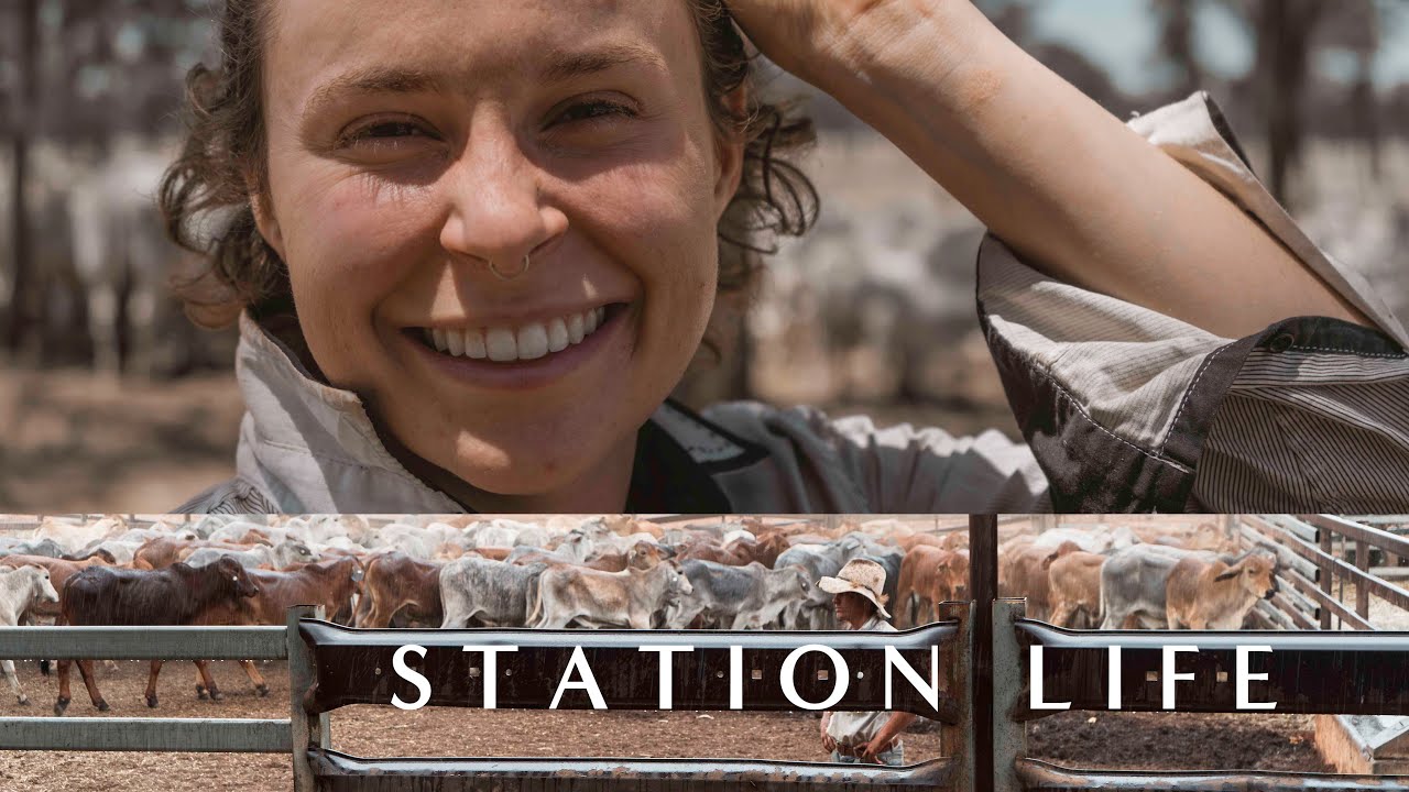 Life As A Station Hand | | learning low stress cattle handling