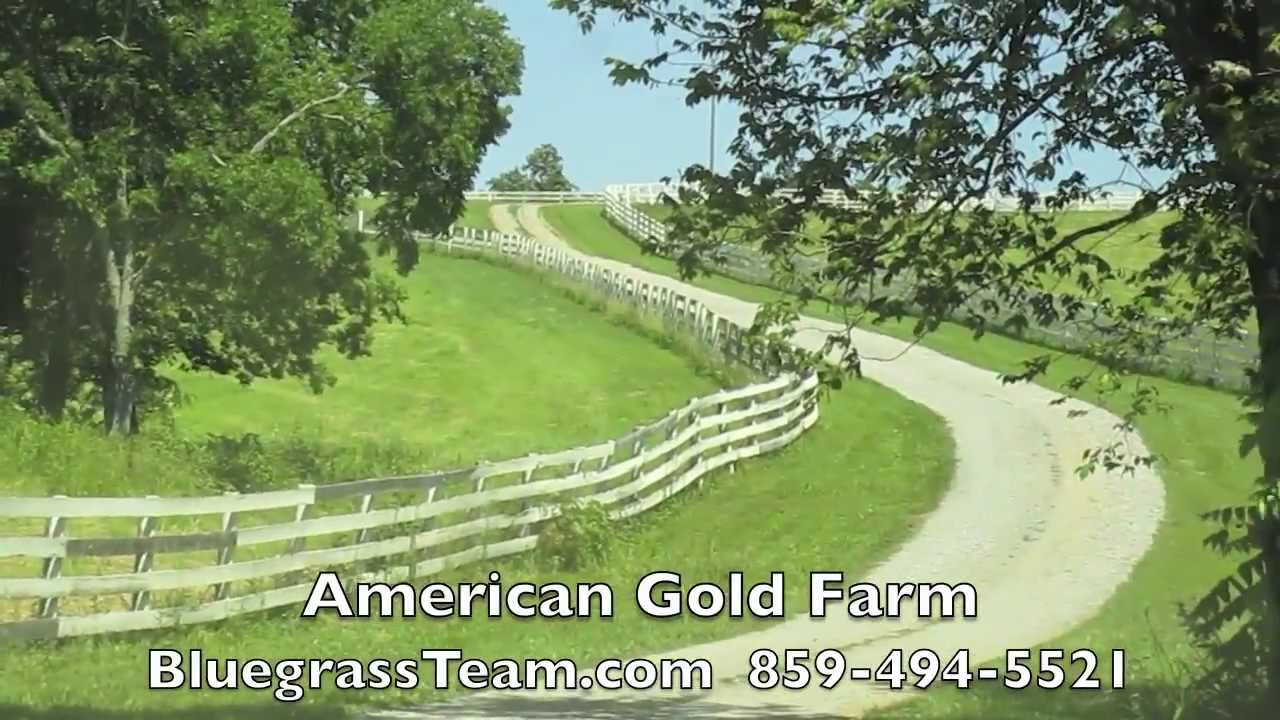 American Gold Farm Perryville, KY Kentucky farm house for sale