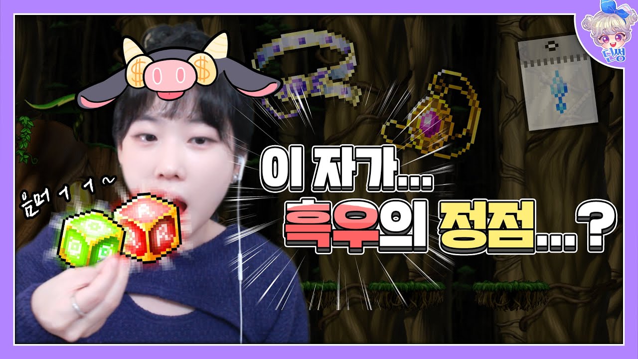 [메이플 딘썽] 옴뇸뇸🙄 │딘썽 스펙업#15