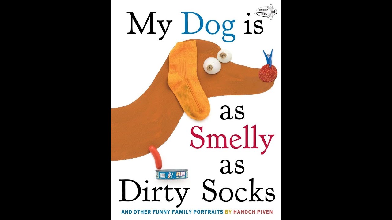 My Dog Is As Smelly As Dirty Socks | Stories for kids
