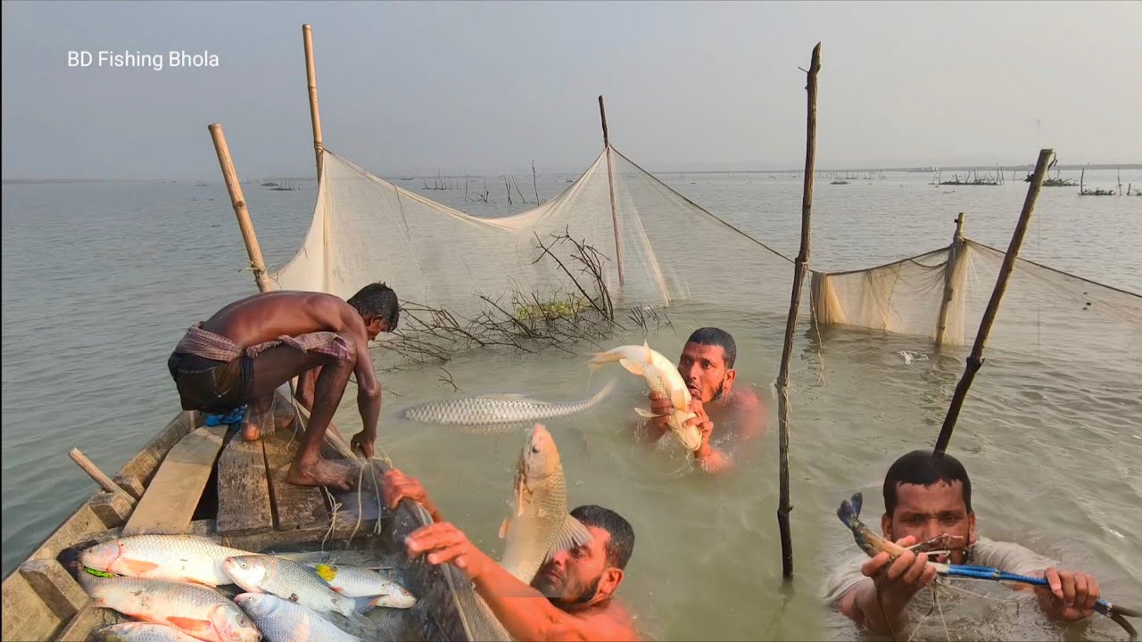 Really Nice Big Fish Catching || নদীর ফাদ থেকে বড় বড় সব মাছ ধরা 