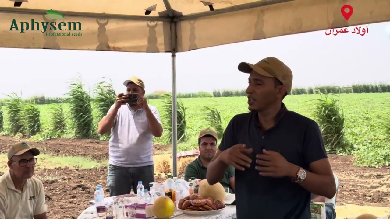توم تحسيسي حول زراعة بطيخ سويهلة gall 77 والبطيخ الأصفر Yara بمنطقة أولاد عمران نواحي سيدي بنور 