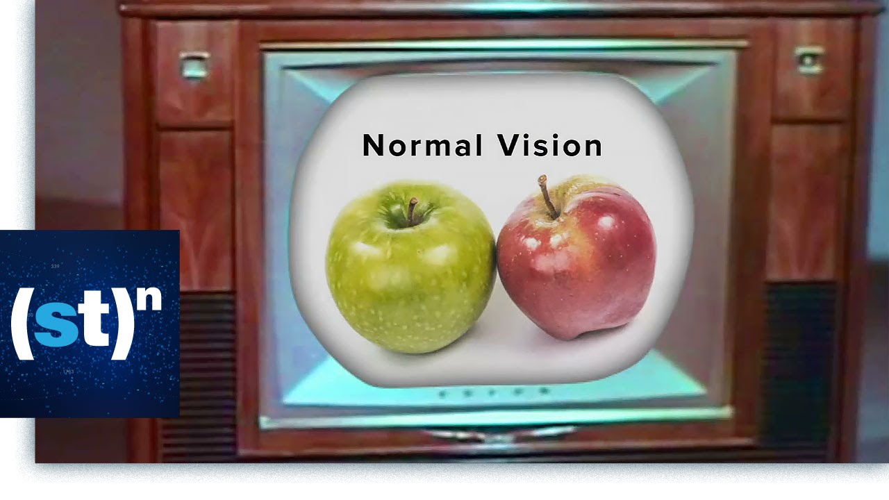 Color Blindness: The Most Common Genetic Disorder | SciTech Now