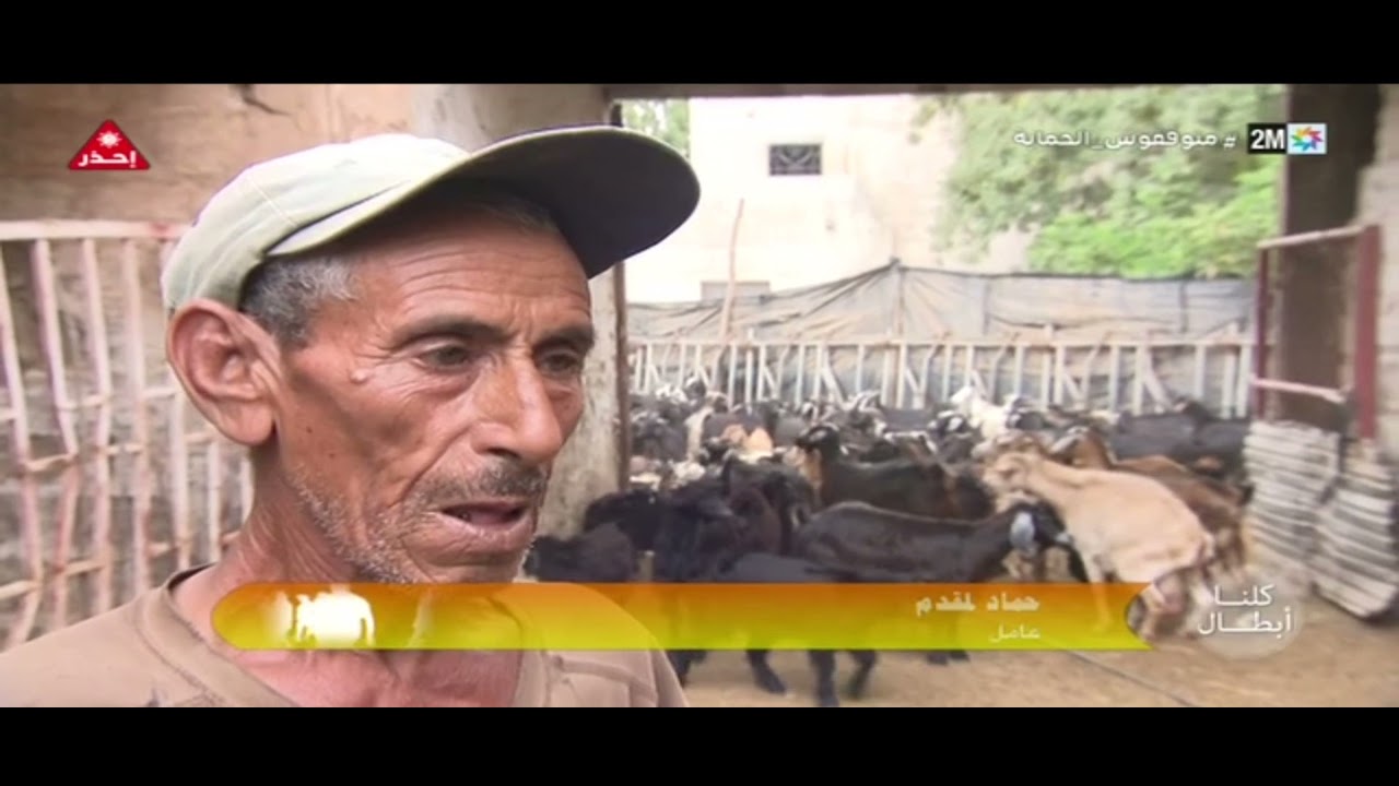 البطل محمد وارحو ابن تافنكولت اولاد برحيل على القناة الثانية