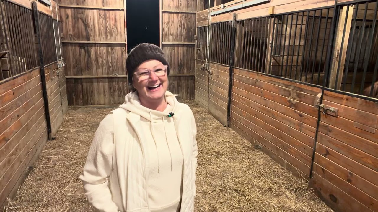 Time to feed the horses. Sunday night. 