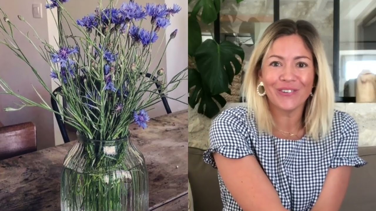 Anne-Laure et la résurrection des vielles maisons.