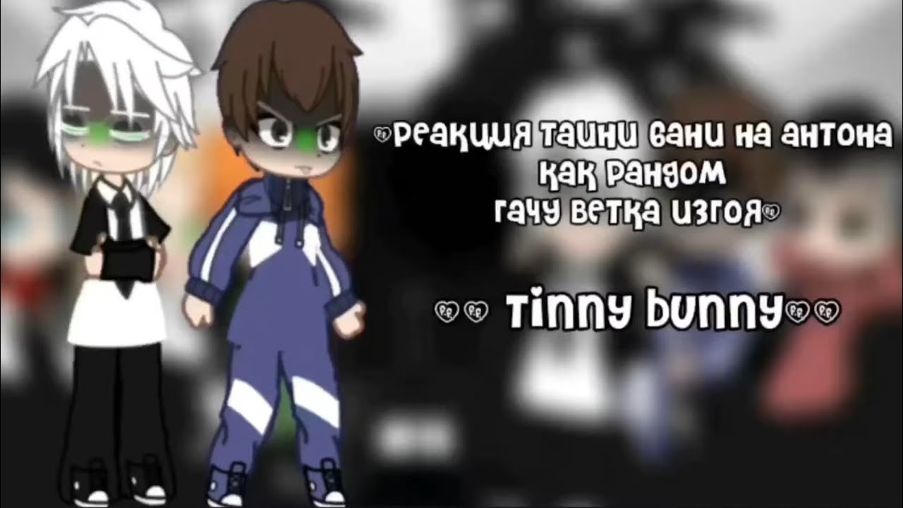 Реакция зайчика на Антона как рандом гача1/?￼