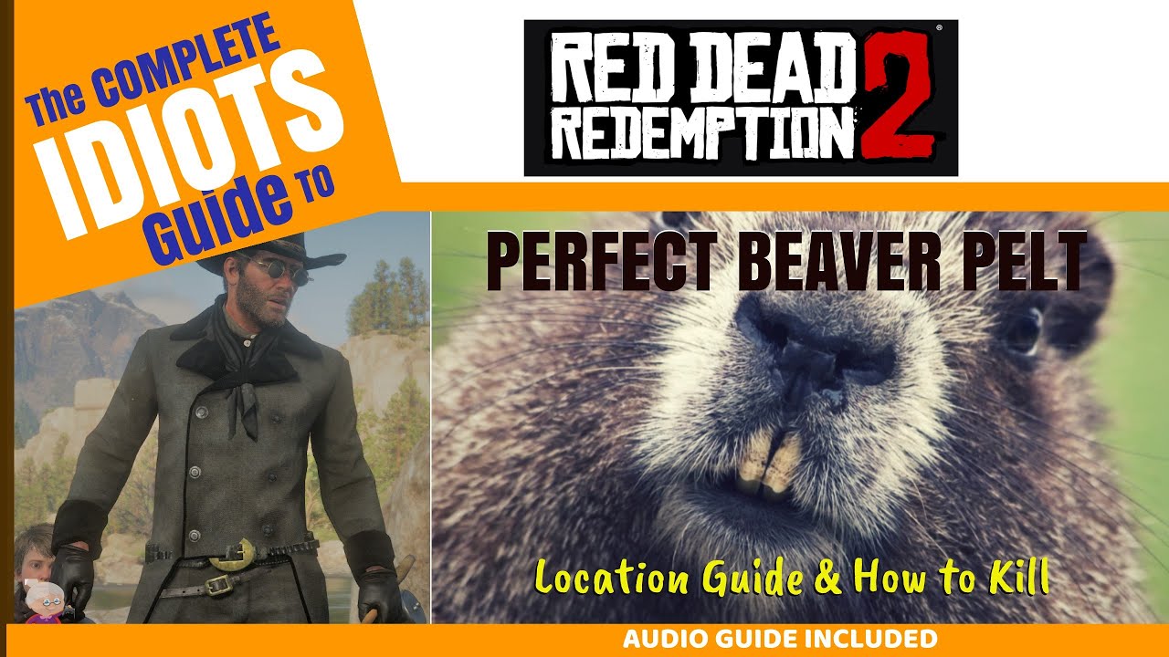 Идеальная шкура БОБРА — полный аудиогид — путеводитель по RDR2 для идиотов