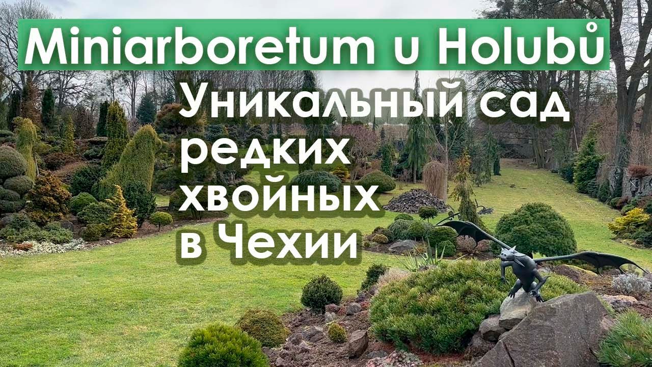 🌲Уникальный сад редкостей Miniarboretum u Holubů в Чехии. Февраль