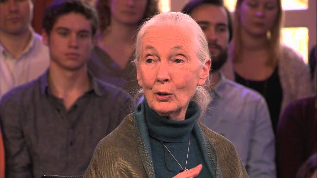Jane Goodall on Leakey's Angels