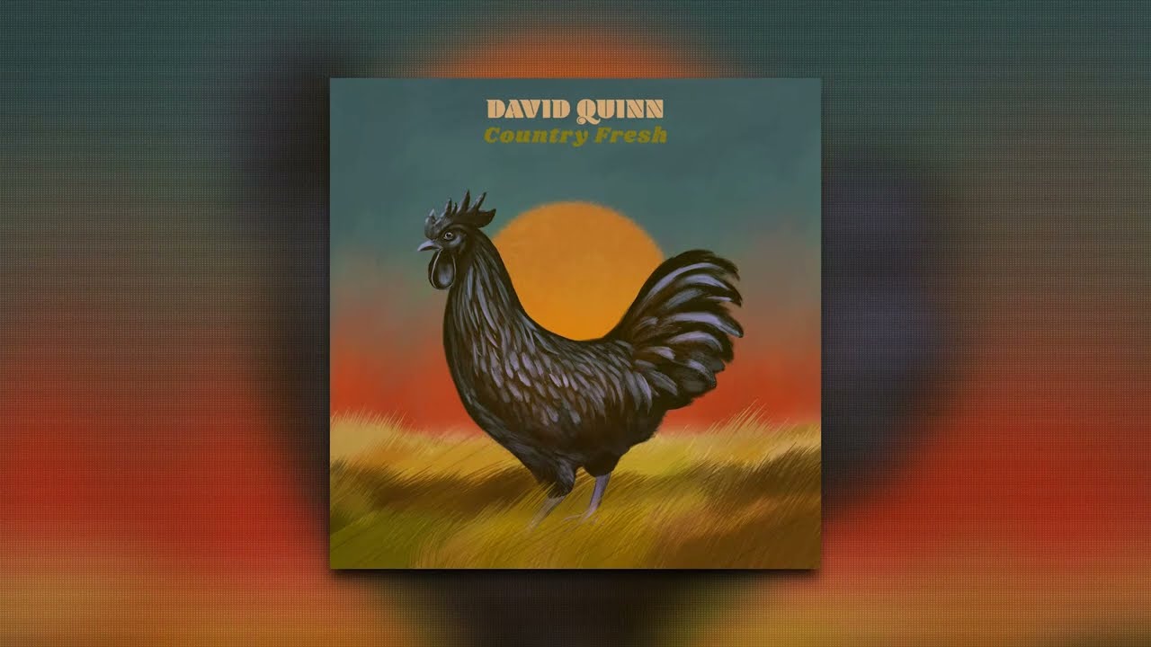 David Quinn - Country Fresh