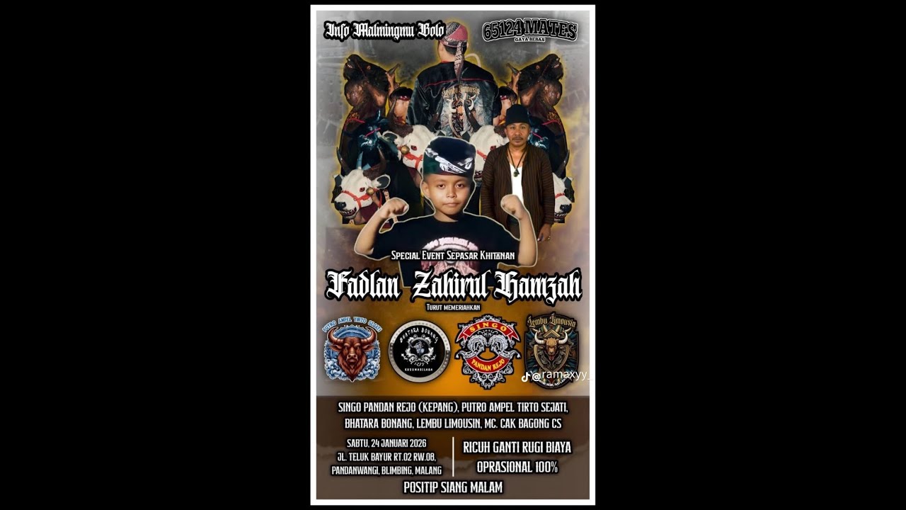 KALAPAN LEMBU LIMOUSIN SAMPAI OBRAK ABRIK PAGAR LIVE JL TELUK BAYUR PANDANWANGI MALANG
