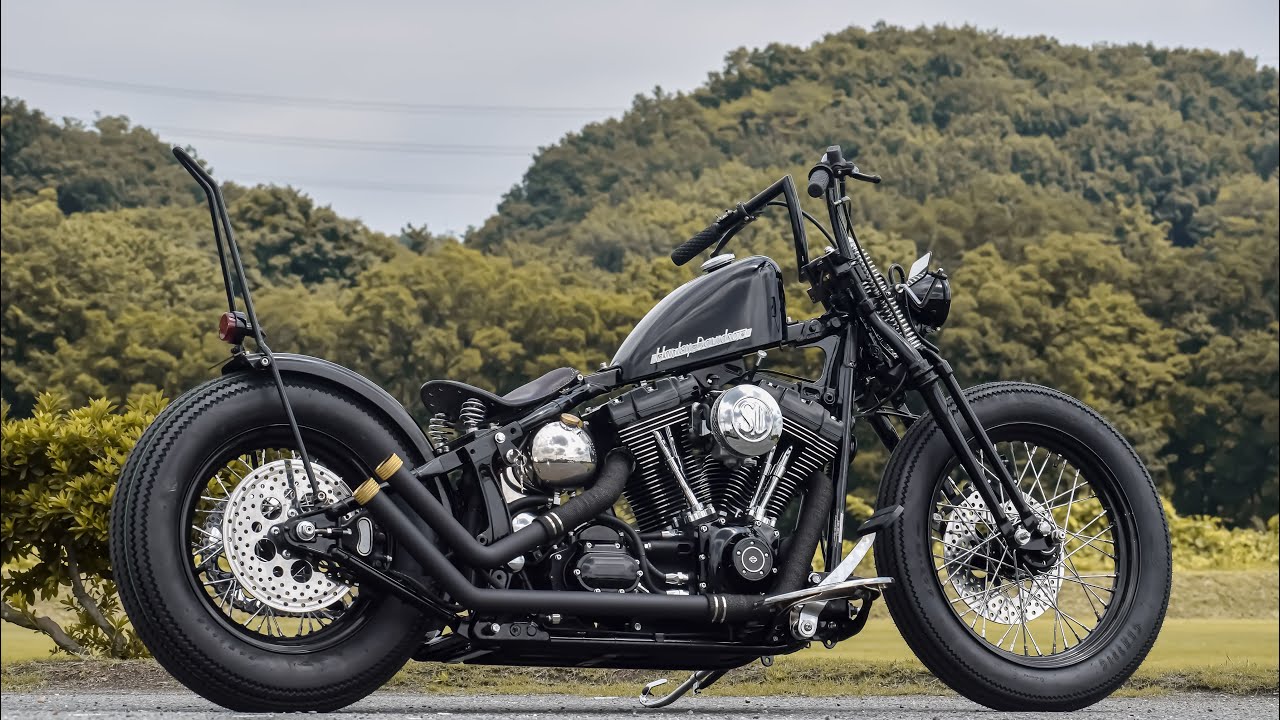 ハーレー　TC88 ツインカム　74スプリンガー　カスタム　三拍子