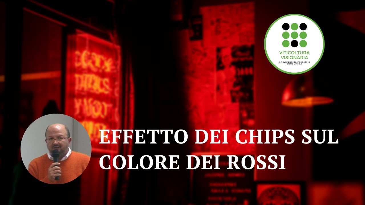 L'effetto dei chips sulla stabilità del colore di un vino rosso