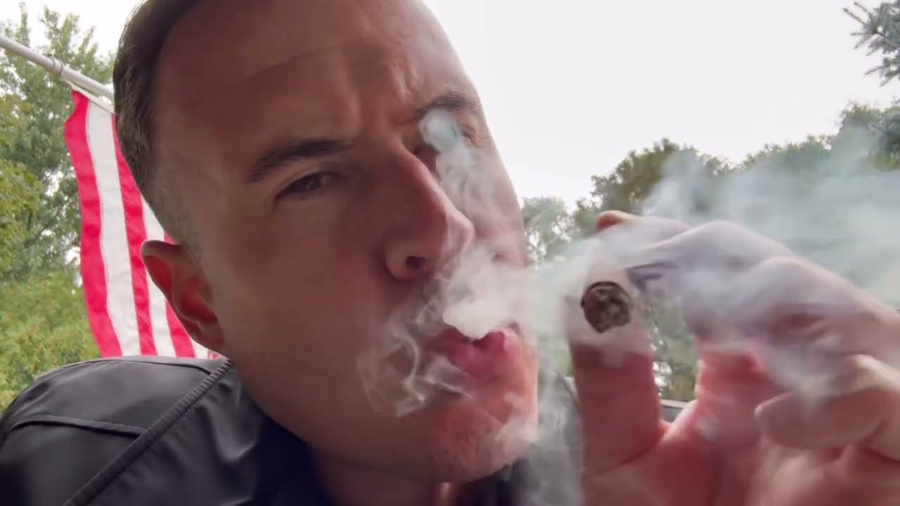 Dutch GOLD FUSION vs Dutch BLUE DREAM FUSION vs Dutch IRISH FUSION budget cigar semi-final battle!