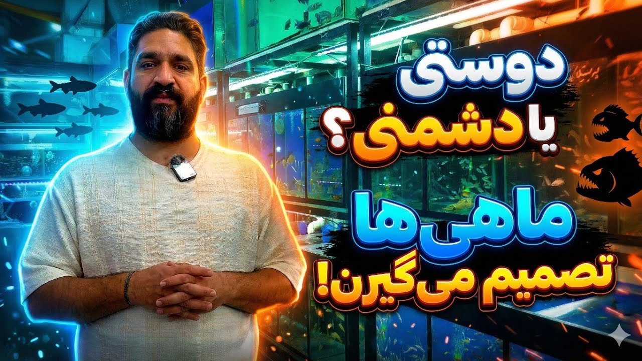 قسمت ششم:کدوم ماهی‌ها با هم دعوا می‌کنن؟اشتباهات مرگبار در نگهداری ماهی‌های آکواریوم ❌ 