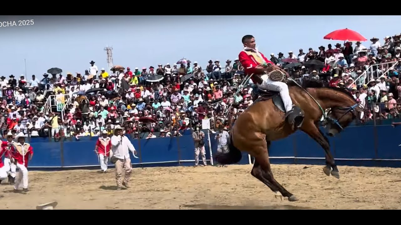Rodeo Montubio PIMOCHA 2025, Valientes jinetes y tradición montubia Ecuatoriana, adrenalina pura.