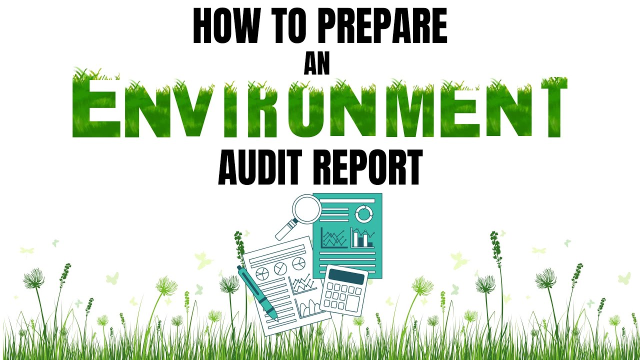 Process of Environmental Audit Report