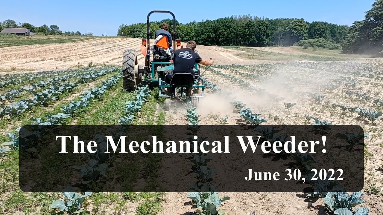 The Mechanical Weeder!