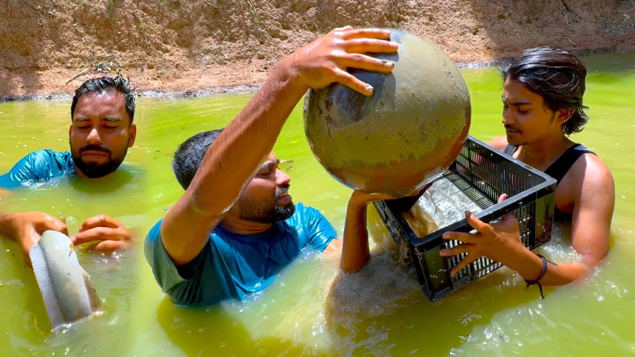 আজ পুকুর থেকে সাতটা হাড়ি তুলে কি কি মাছ পেলাম দেখুন | village style fishing and cooking video