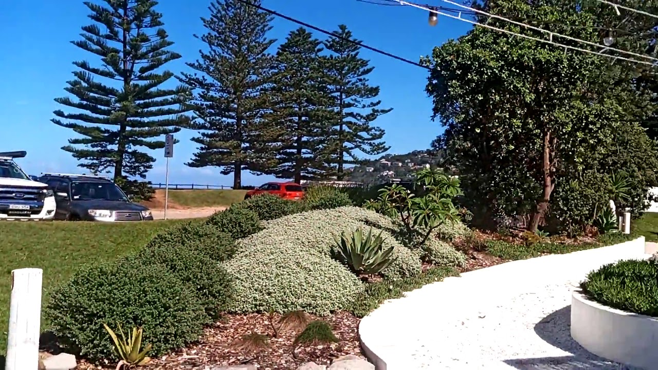 Wedding at Dunes Palm Beach Sydney