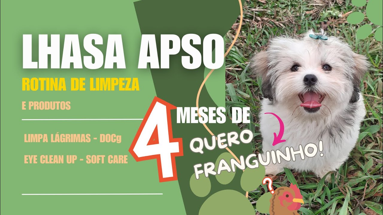 LHASA APSO - Higiene e limpeza