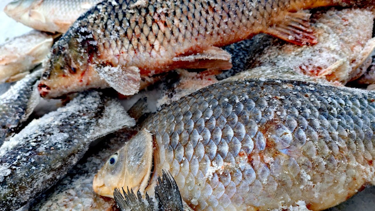 Караси-лапти на мормышку! Озеро Чаны. Карась. Сазан. #рыбалкансо #чаны