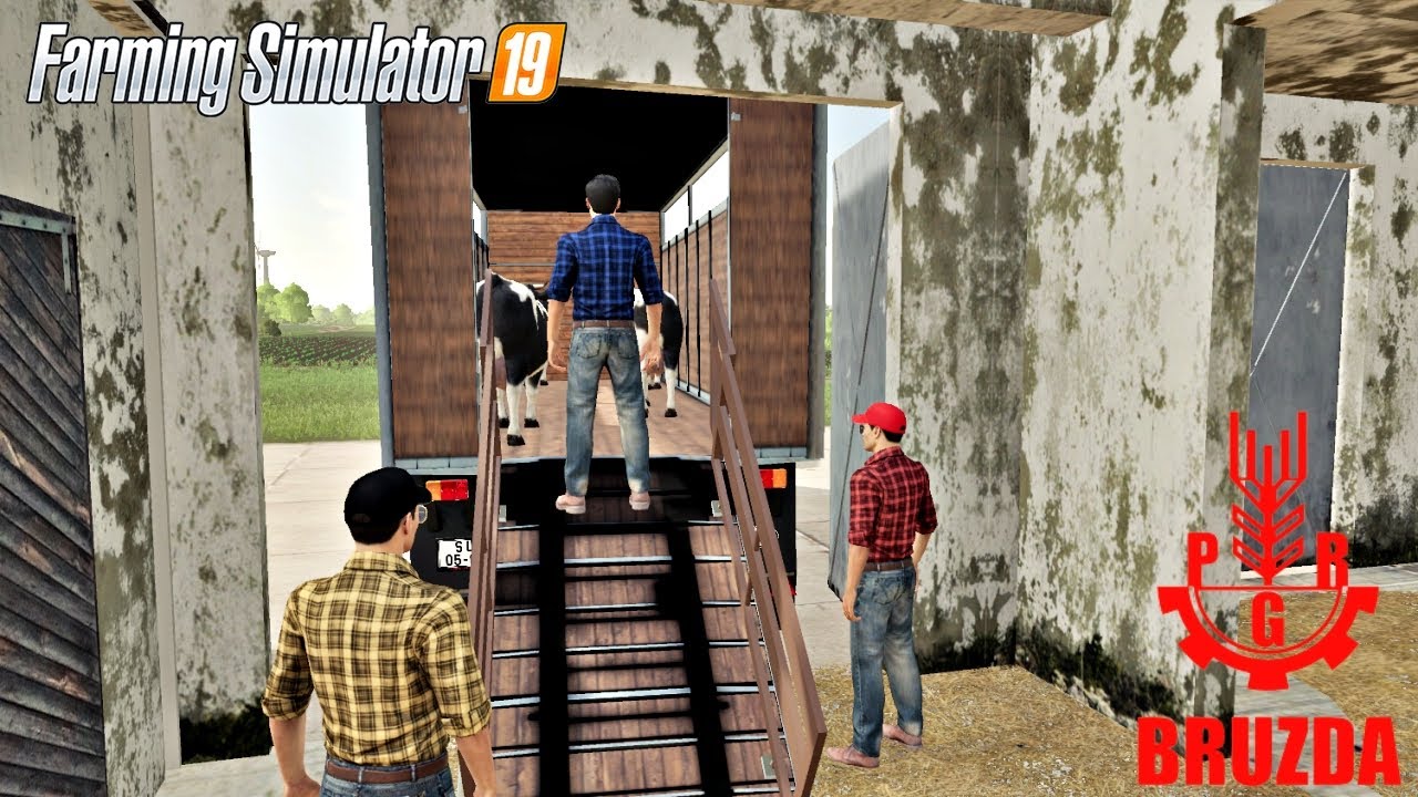 🔴 Zakup i karmienie kr&oacute;w na PGR. 🔴 - Anton.pl PGR BRUZDA  FS19