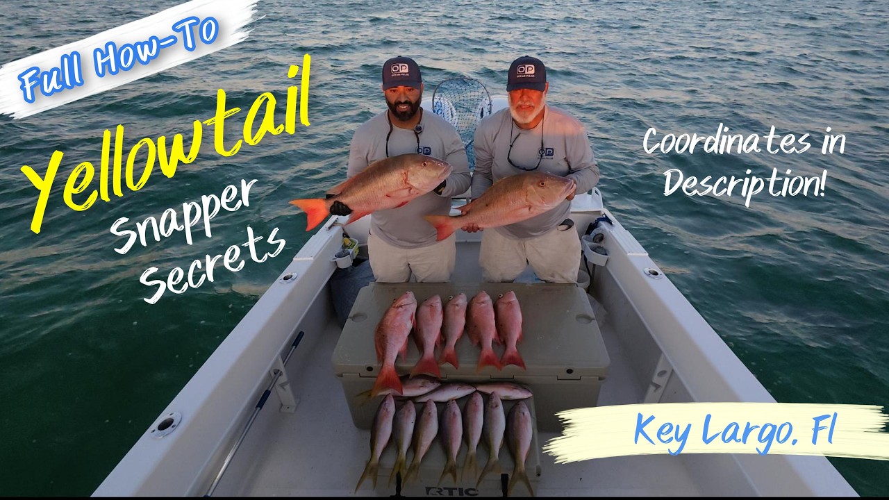 The Ultimate Guide to Yellowtail Snapper Fishing (+ Epic Mutton Catch!)