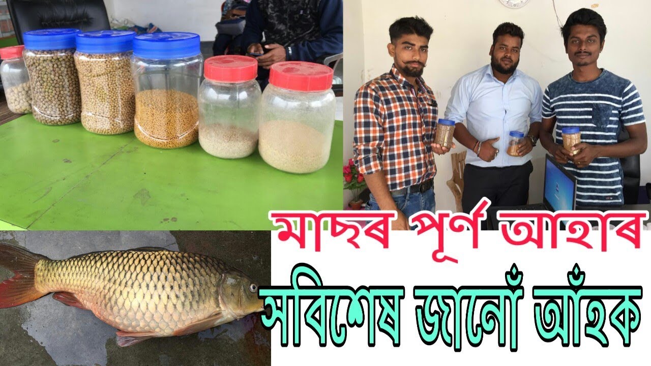 মাছৰ দানা বিষয়ে সবিশেষ জানোঁ আঁহক । ১০০০টা মাছৰ দানা? দাম ? Full details of fish feed in assam