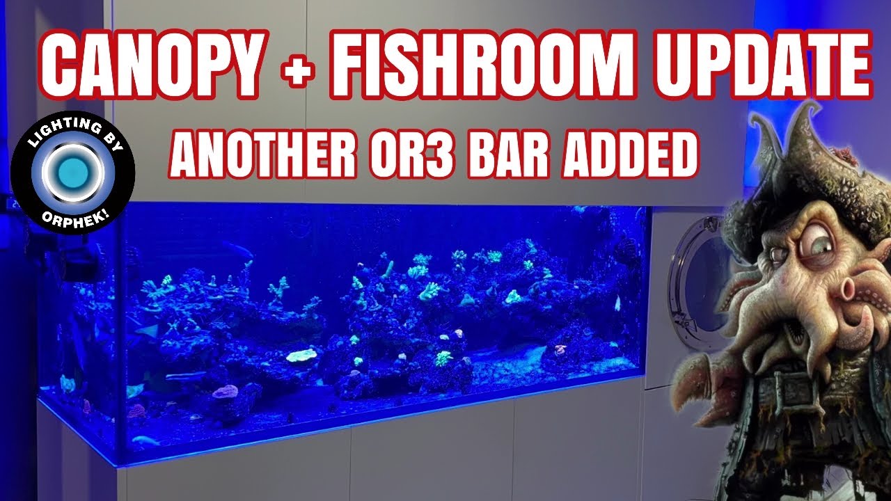 Fishroom Build - Pt3
