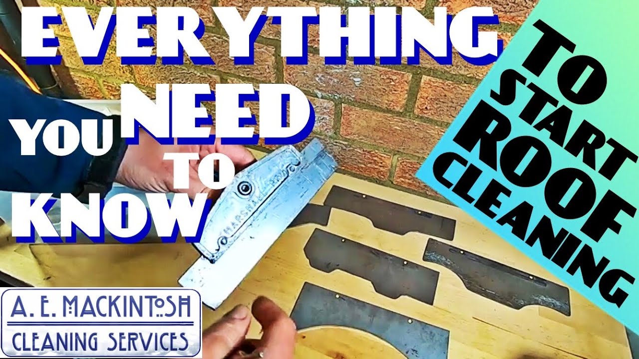 Everything You Need To Know To Start Roof Cleaning