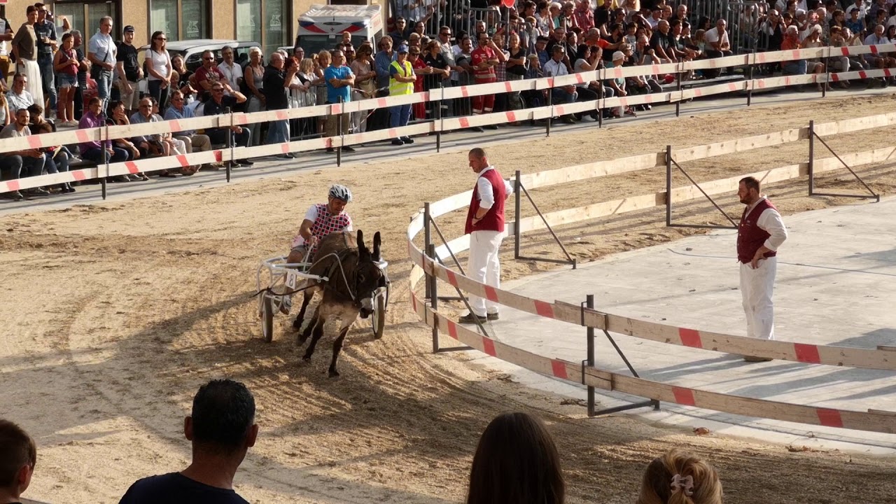 Eselrennen Fagagna Finale 2018