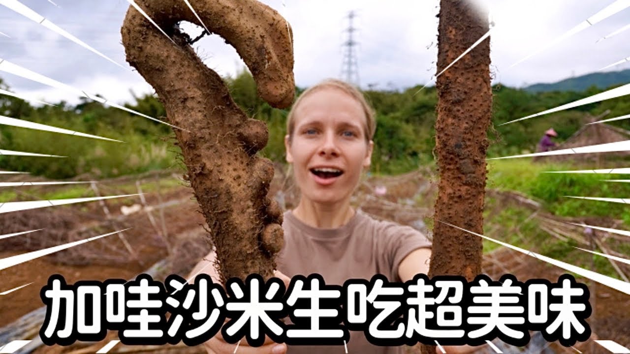 看似荒廢農地暗藏寶藏？台灣頂級山藥這樣培育！一根居然能長到160公分！非洲人還為了它舉辦嘉年華!