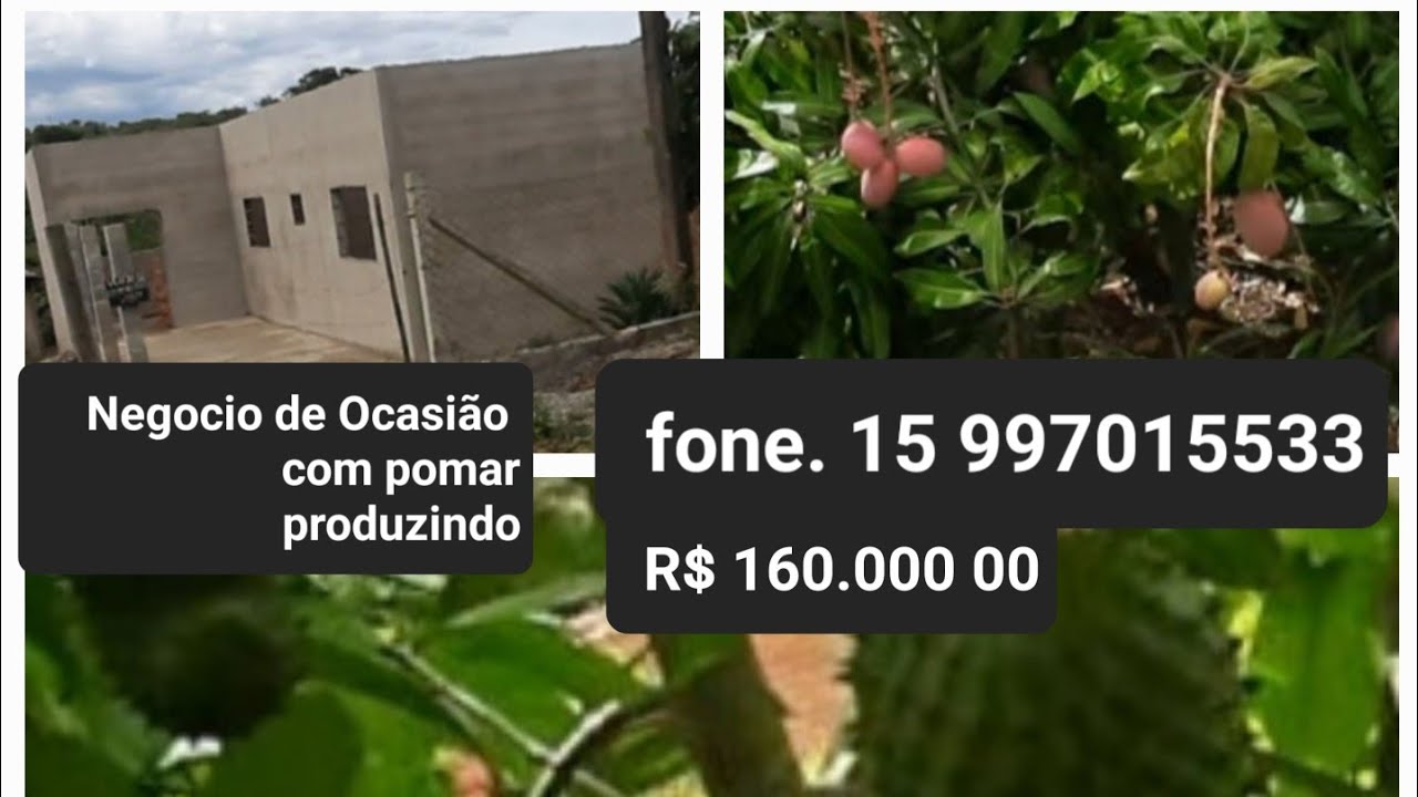Chácara a  venda  com pomar.  próximo a Sorocaba  SP. Pechincha.