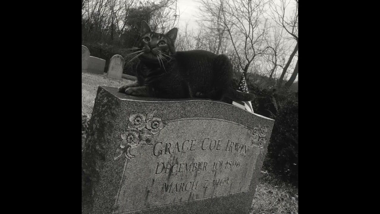 Du Mort - This Life (Goth/Post Punk track)