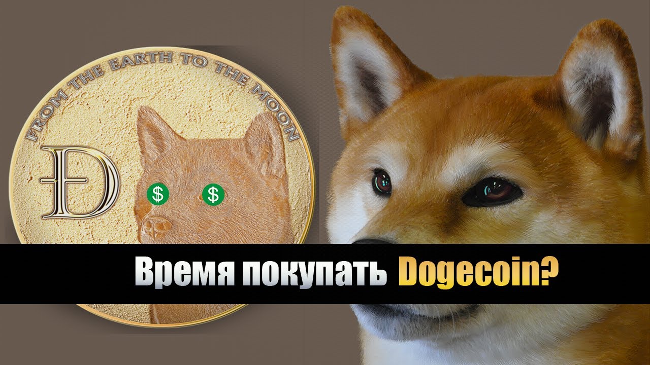 Покупать ли Dogecoin сейчас? Лучшая инвестиция 2020-го года?
