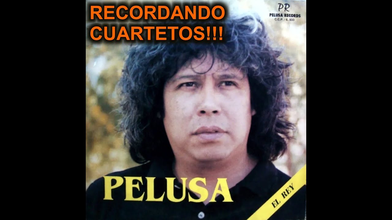 Pelusa 