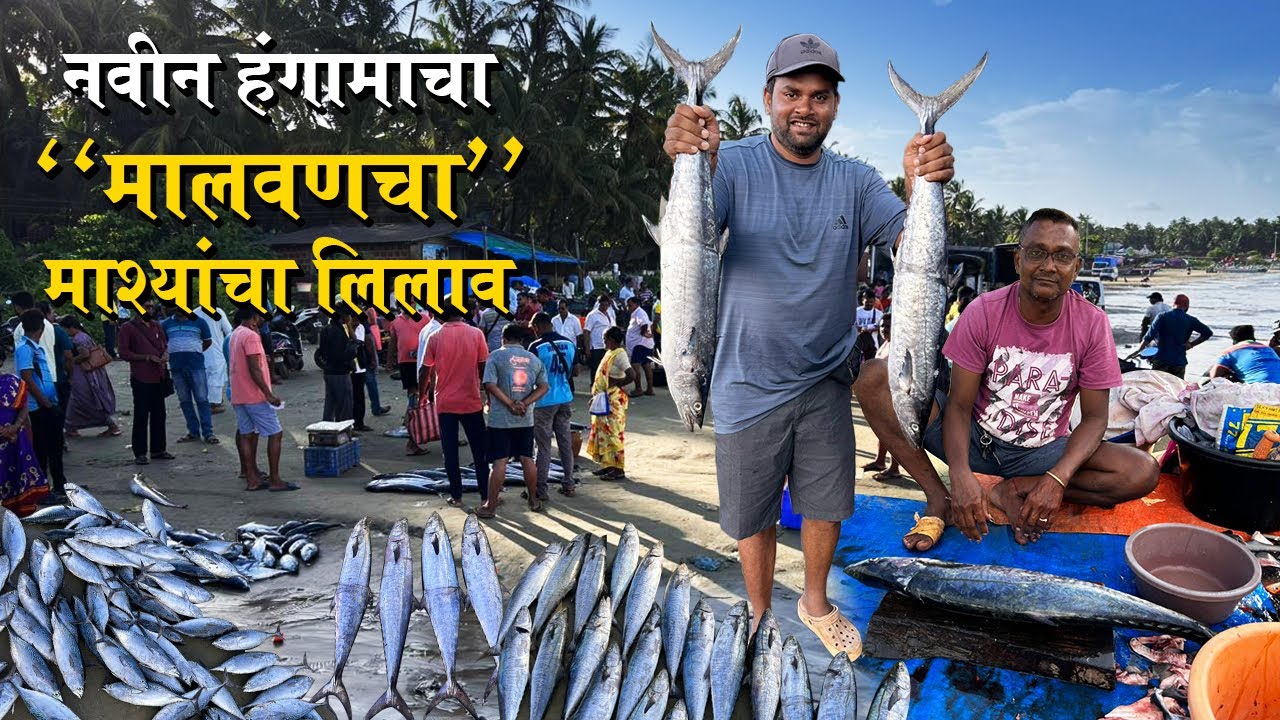 नवीन हंगामाचा 