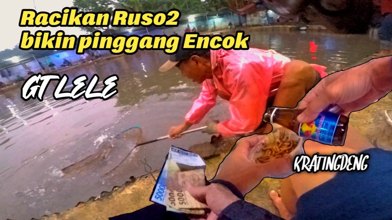 Tes Kratingdeng untuk rendaman umpan lele media ulat jerman