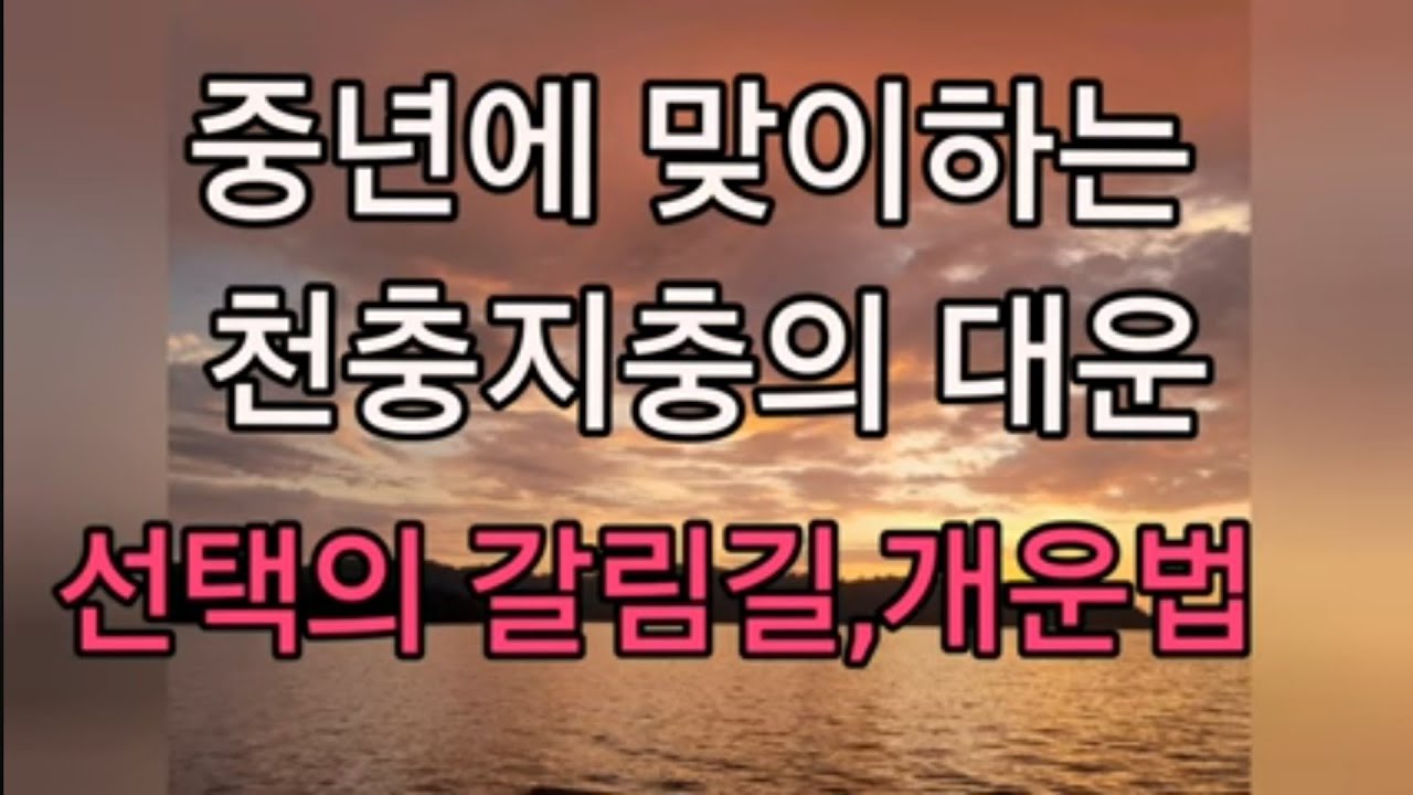 40~50대 중년의 천충지충 대운