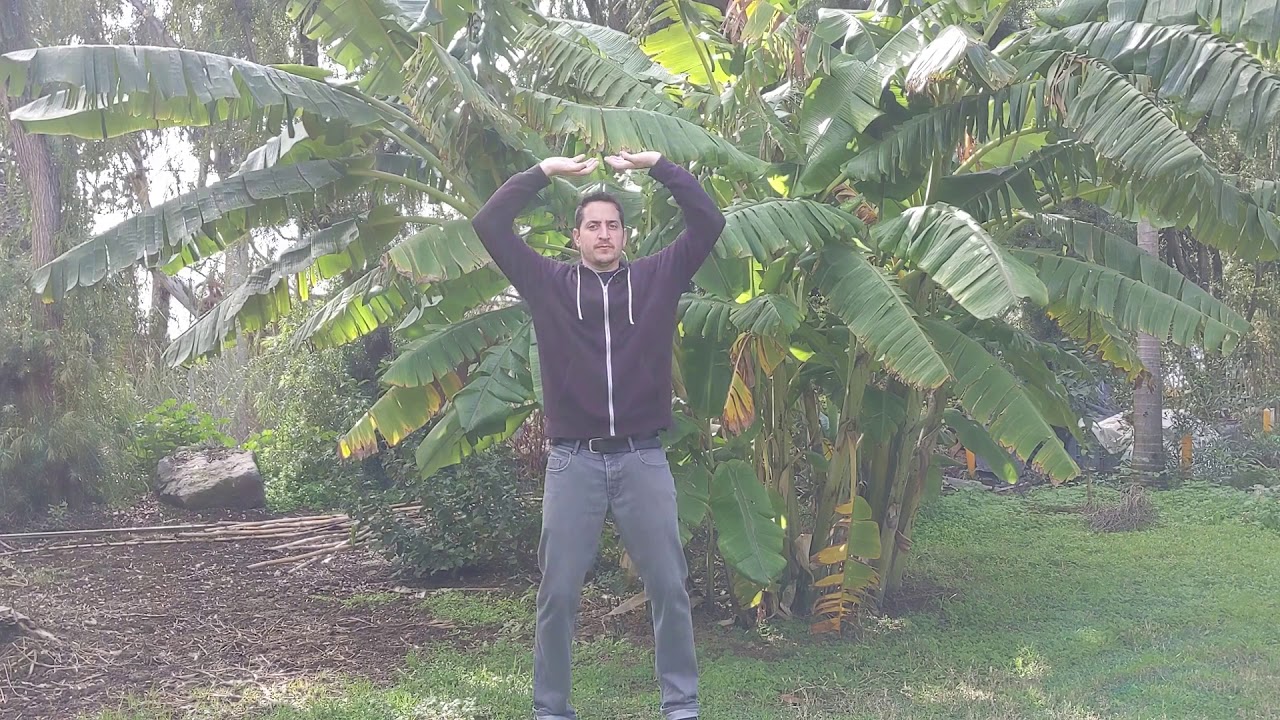 חיזוק צ'י הכליות   תרגיל 1