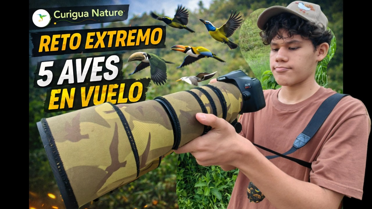 Este reto casi me gana: 5 aves en vuelo en 2 horas