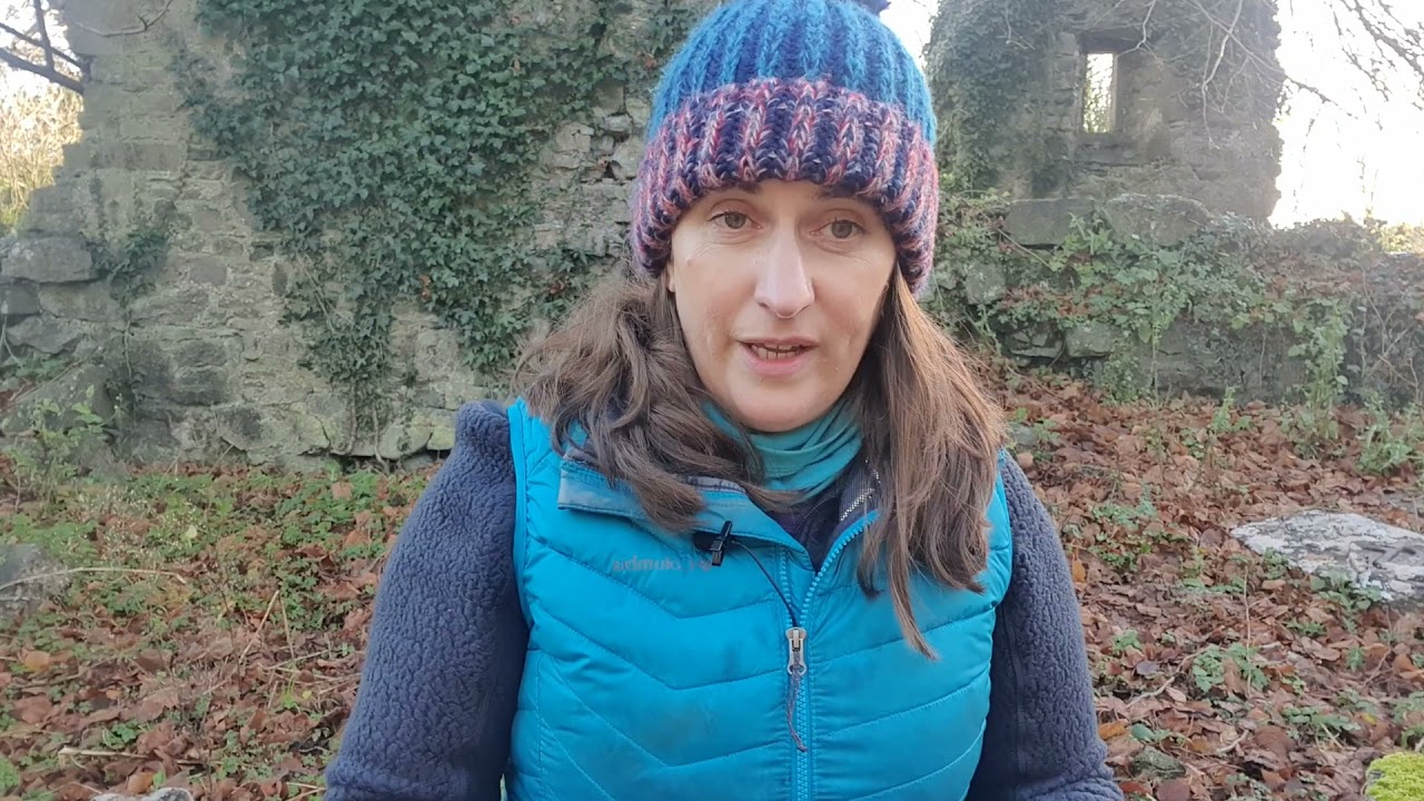 Trace the Past in Kilkea Castle Graveyard, tracing the stories in graveyards with Angelina Foster.