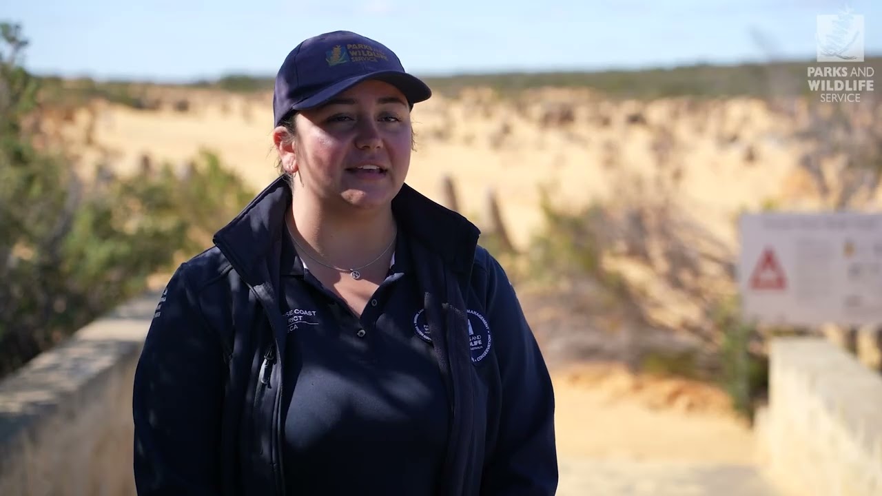 Pinnacles Desert Road Restoration