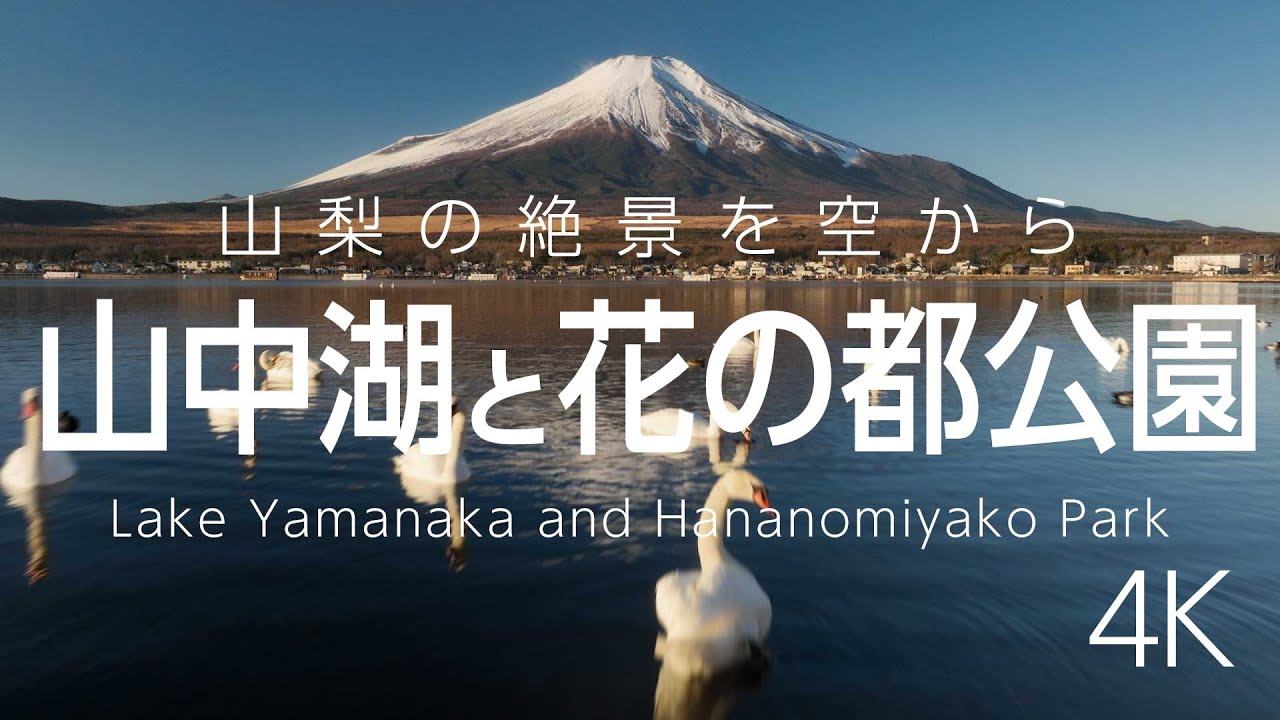 山中湖と花の都公園｜富士山を望む四季の絶景を空から 4K