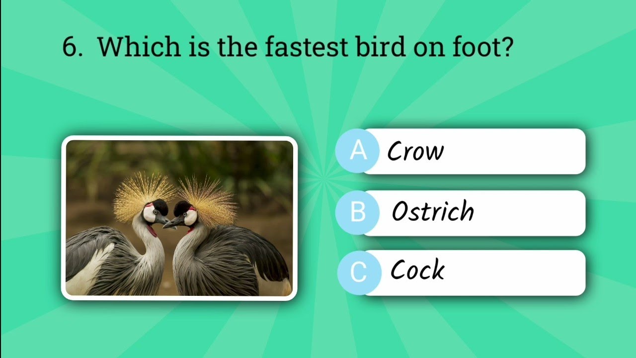 Top 30 General Knowledge Questions Every Student Must Know !!  #challenge 