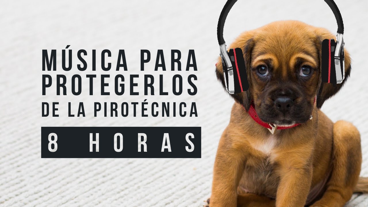 🐶🎧 MÚSICA PARA RELAJAR A MI PERRO durante la pirotecnia  / Perrhijos  beneficios de la musicoterapia
